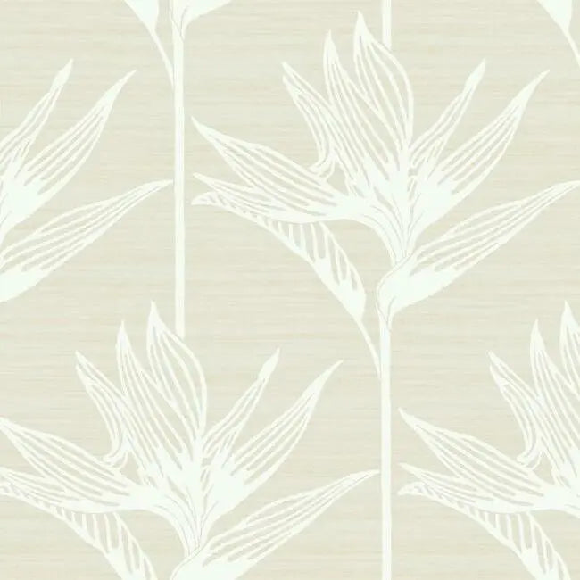 York TC2672 Bird Of Paradise Wallpaper