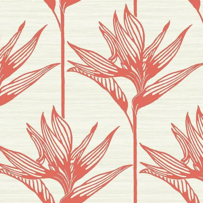 York TC2676 Bird Of Paradise Wallpaper