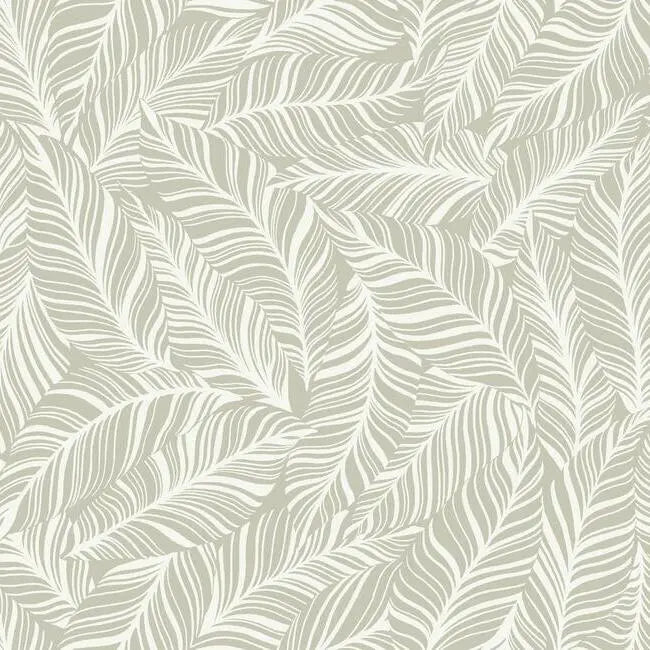 York TC2711 Rainforest Canopy Wallpaper