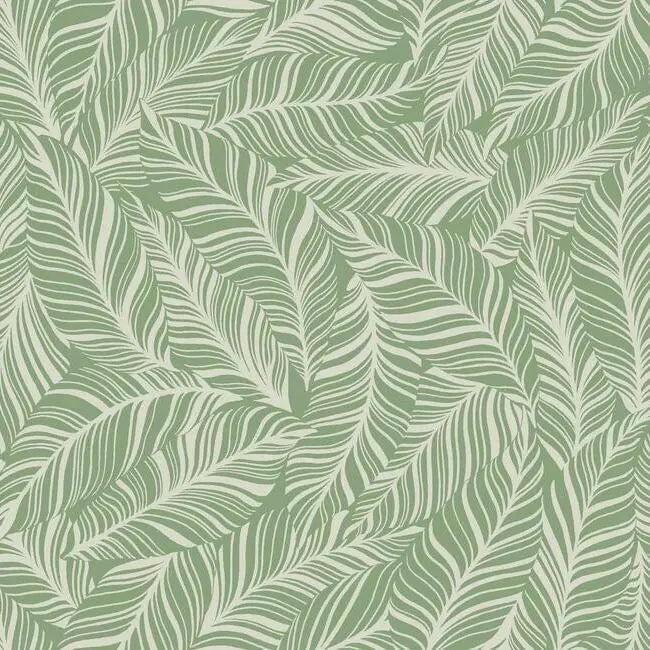 York TC2717 Rainforest Canopy Wallpaper