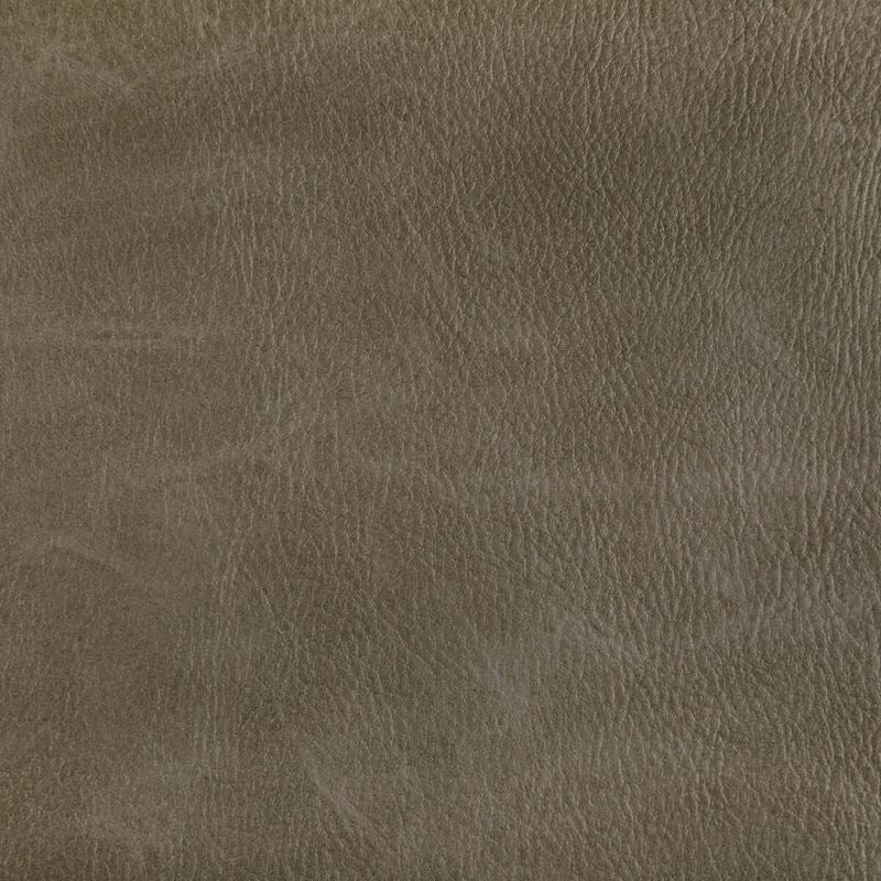 Kravet Contract Fabric TONI.6 Toni Field