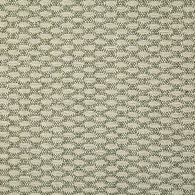 Pindler Fabric VER063-GR01 Veranda Jade