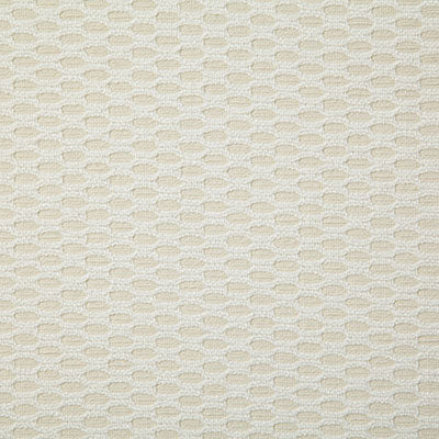 Pindler Fabric VER063-WH01 Veranda Pearl