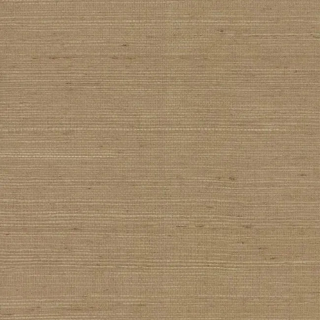 York Wallpaper VG4403 Plain Grass