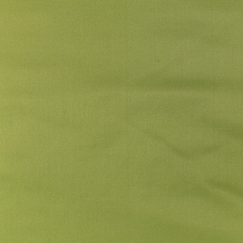 Scalamandre Fabric VP 03301005 Pacific Silk Grass