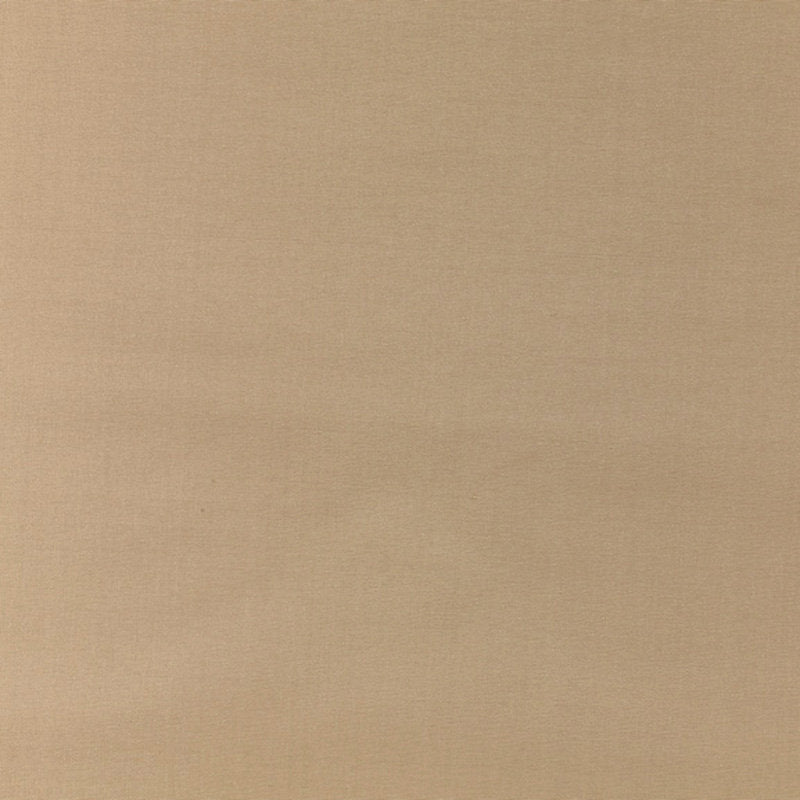 Scalamandre Fabric VP 04251005 Pacific Silk Biscotti