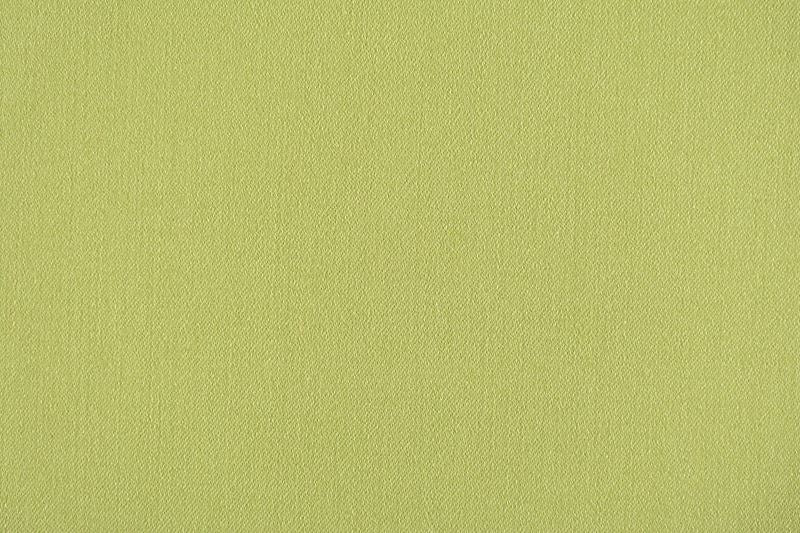 Scalamandre Fabric VP 2218RIO1 Rio Spring Green