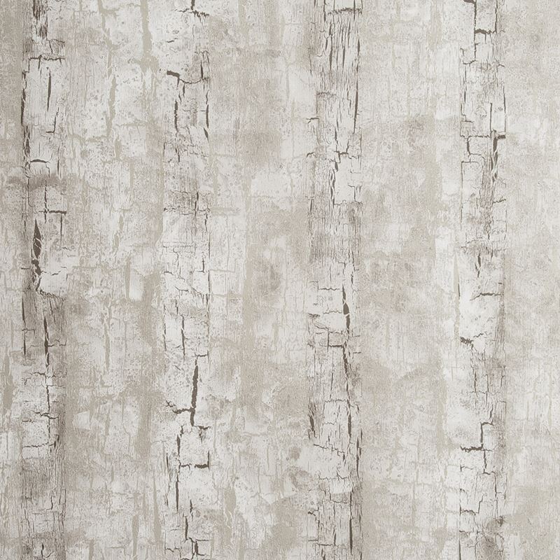 Clarke and Clarke Wallpaper W0062-2 Tree Bark Birch