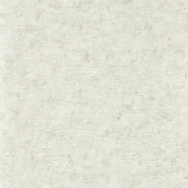 Clarke and Clarke Wallpaper W0152-3 Impression Stone Wp