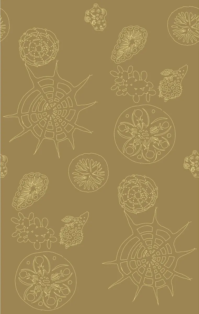 Kravet Couture Wallpaper W3585.616 Telescopic P Sanddollar