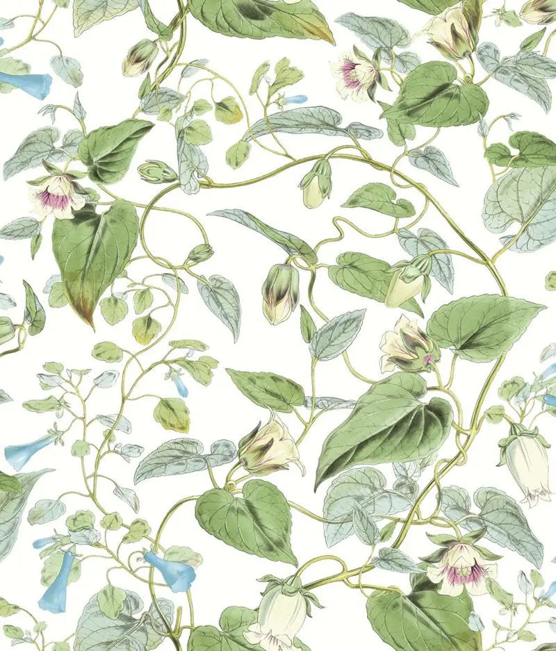 Wallpaper W4132.31 Kravet Design by