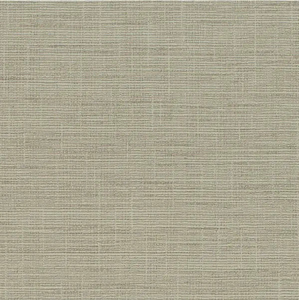 Winfield Thybony Wallpaper WHF1619.WT Patagonia Straw