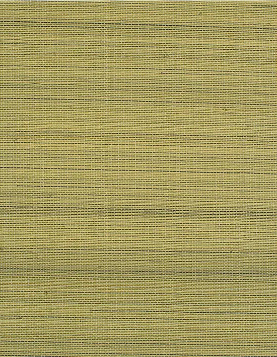 Winfield Thybony Wallpaper WIW2541.WT Negril Peridot