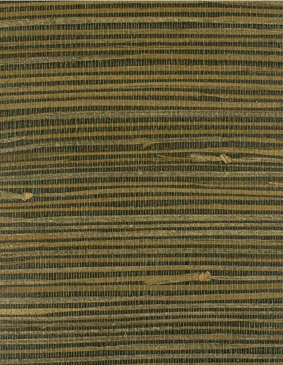 Winfield Thybony Wallpaper WIW2564.WT Corenwall Tigers Eye