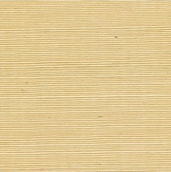 Winfield Thybony Wallpaper WSS4521.WT Sisal Chamomile