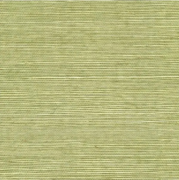 Winfield Thybony Wallpaper WSS4530.WT Sisal Pea Pod