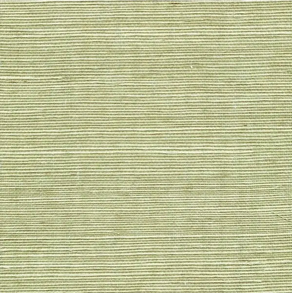 Winfield Thybony Wallpaper WSS4531.WT Sisal Fern