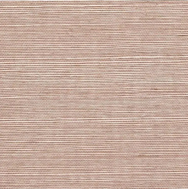 Winfield Thybony Wallpaper WSS4554.WT Sisal Umber