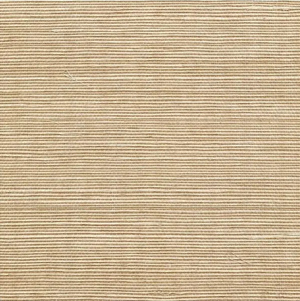 Winfield Thybony Wallpaper WSS4557.WT Sisal Moss